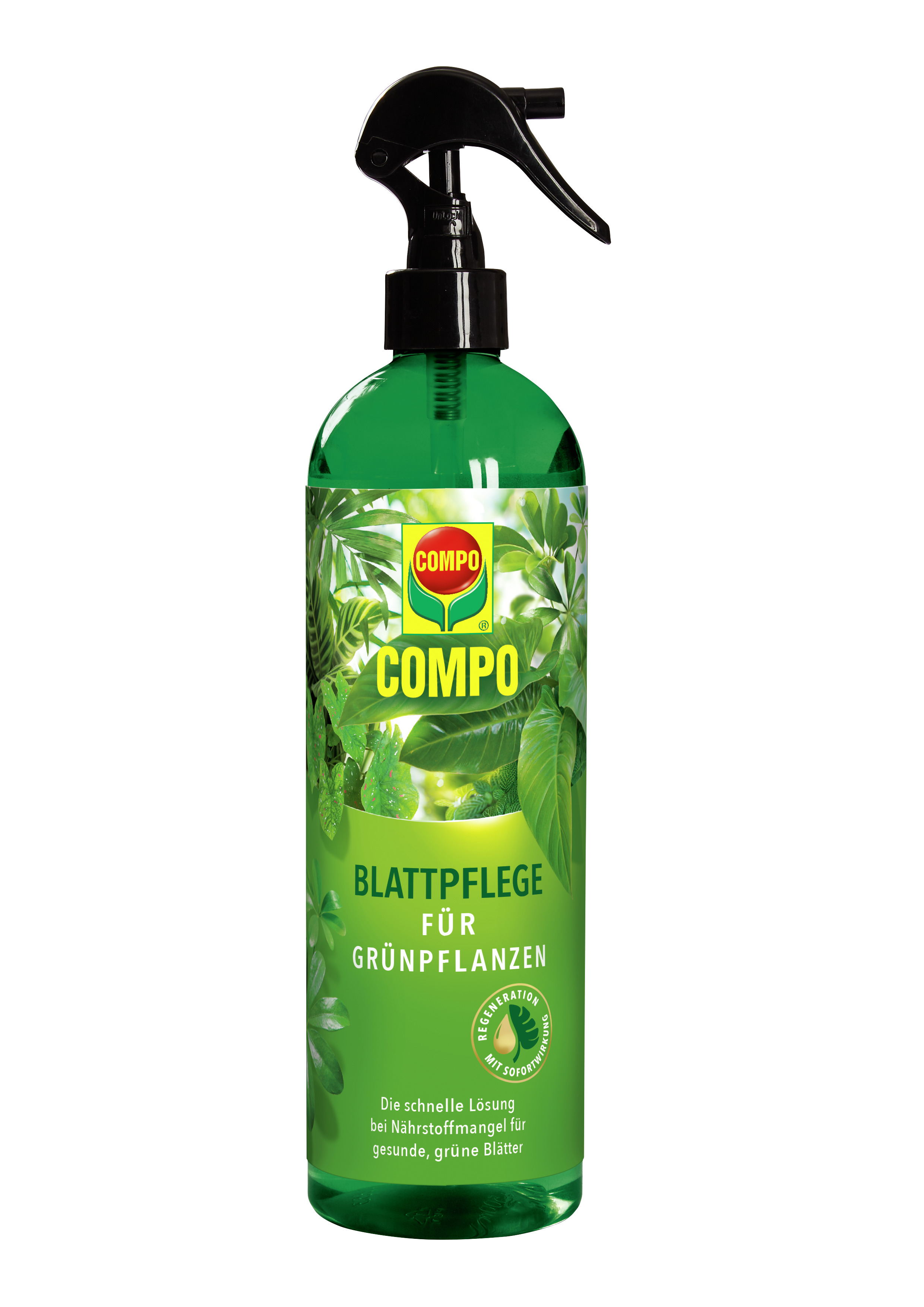 COMPO COMPO Blattpflege für Grünpflanzen 500ml Compo EREG